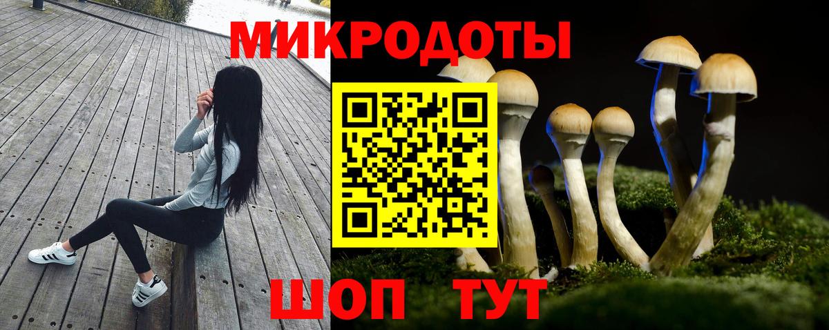 Псилоцибиновые грибы мицелий  как найти   Партизанск  Псилоцибиновые грибы Psilocybe  Вход с VPN 